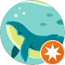 Anna profile picture